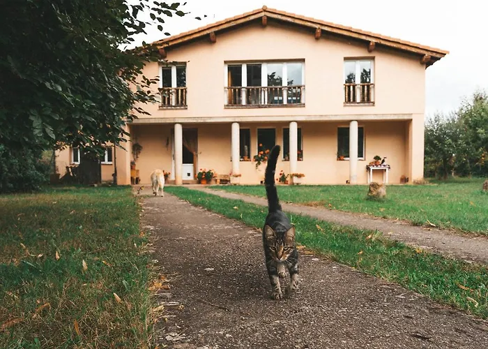 Casa De Campo La Solana