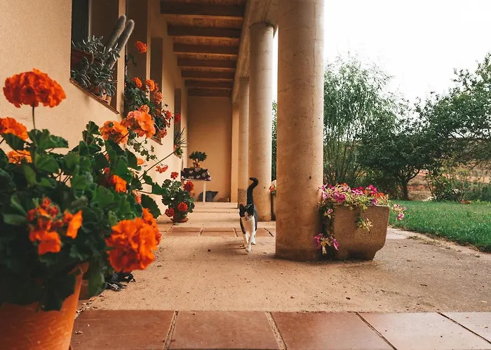 Casa De Campo La Solana