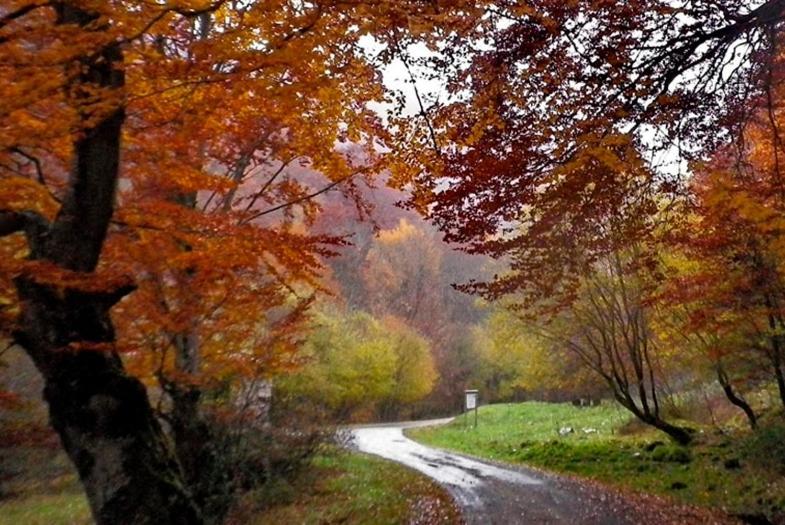 La Solana Séjour à la campagne Estollo